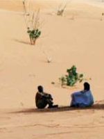 poster de Pottital - Ensemble