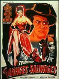 poster de The Rawhide Years