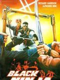 poster de Black Ninja