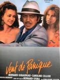poster de Vent de panique