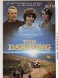 poster de The Dawning