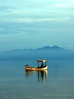 poster de The White Meadows