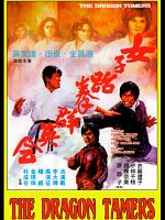 poster de Le Maître de Taekwondo