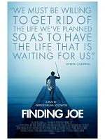 poster de Finding Joe