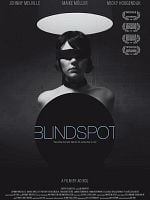 poster de Blindspot