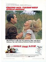 poster de Le Pays de la violence