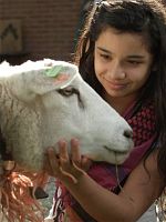 poster de La fille du boucher
