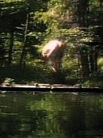 poster de Reflecting pool