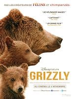 Grizzly