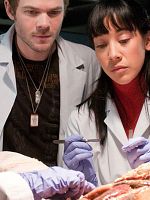 poster de Bloodletting & Miraculous Cures