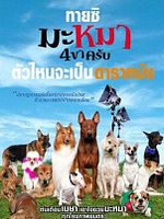 poster de Mid Road Gang