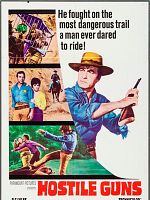 poster de Hostile Guns