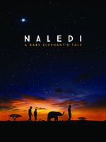 poster de Naledi, l'éléphanteau orphelin