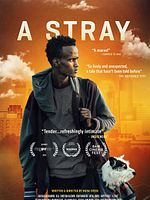 poster de A Stray