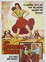 poster de La Ville de la vengeance