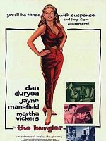 poster de Le Cambrioleur