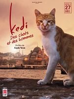 poster de Kedi - Des chats et des hommes