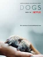 image de Nos amis les chiens