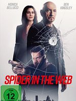 poster de Spider in the Web