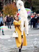 image de Untitled Lizzie McGuire Sequel