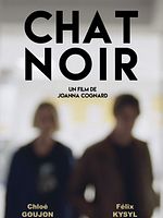 poster de Chat Noir