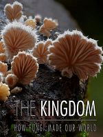 poster de Au Royaume des champignons