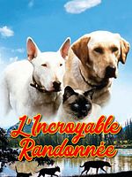 poster de L'incroyable randonnée