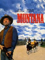 poster de Le Dernier cow-boy