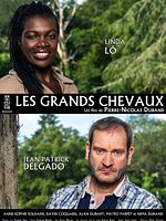 poster de Les Grands chevaux