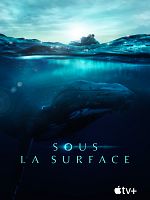 poster de Sous la surface