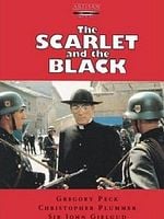 poster de La Pourpre et le Noir