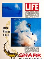 poster de Shark