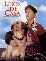 poster de Compagnons d'aventure