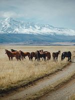 poster de Russie secrète, sur les rives de la mer blanche