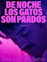poster de La nuit, tous les chats sont gris