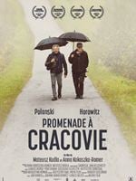 Promenade à Cracovie