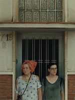 poster de The Permanent Picture