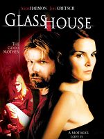 poster de La Prison de verre 2