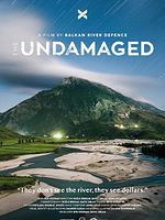 poster de The Undamaged