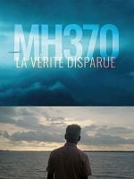 image de MH370, la vérité disparue