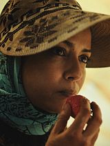 Affiche de Les Fraises, film à voir en streaming sur Pygargue