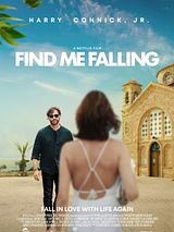 Affiche de Si je tombe, film à voir en streaming sur Pygargue