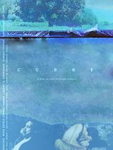 Affiche de Copper, film à voir en streaming sur Pygargue