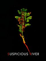 Affiche de Suspicious river, film à voir en streaming sur Pygargue