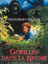 Affiche de Gorilles dans la brume, film à voir en streaming sur Pygargue