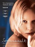 Affiche de Le Saut périlleux, film à voir en streaming sur Pygargue