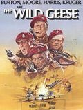 Affiche de Les Oies sauvages, film à voir en streaming sur Pygargue