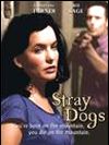 Affiche de Stray Dogs, film à voir en streaming sur Pygargue