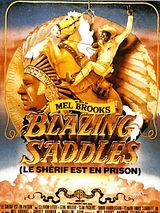 Affiche de Le Shérif est en prison, film à voir en streaming sur Pygargue
