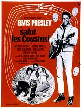 Affiche de Salut les cousins !, film à voir en streaming sur Pygargue